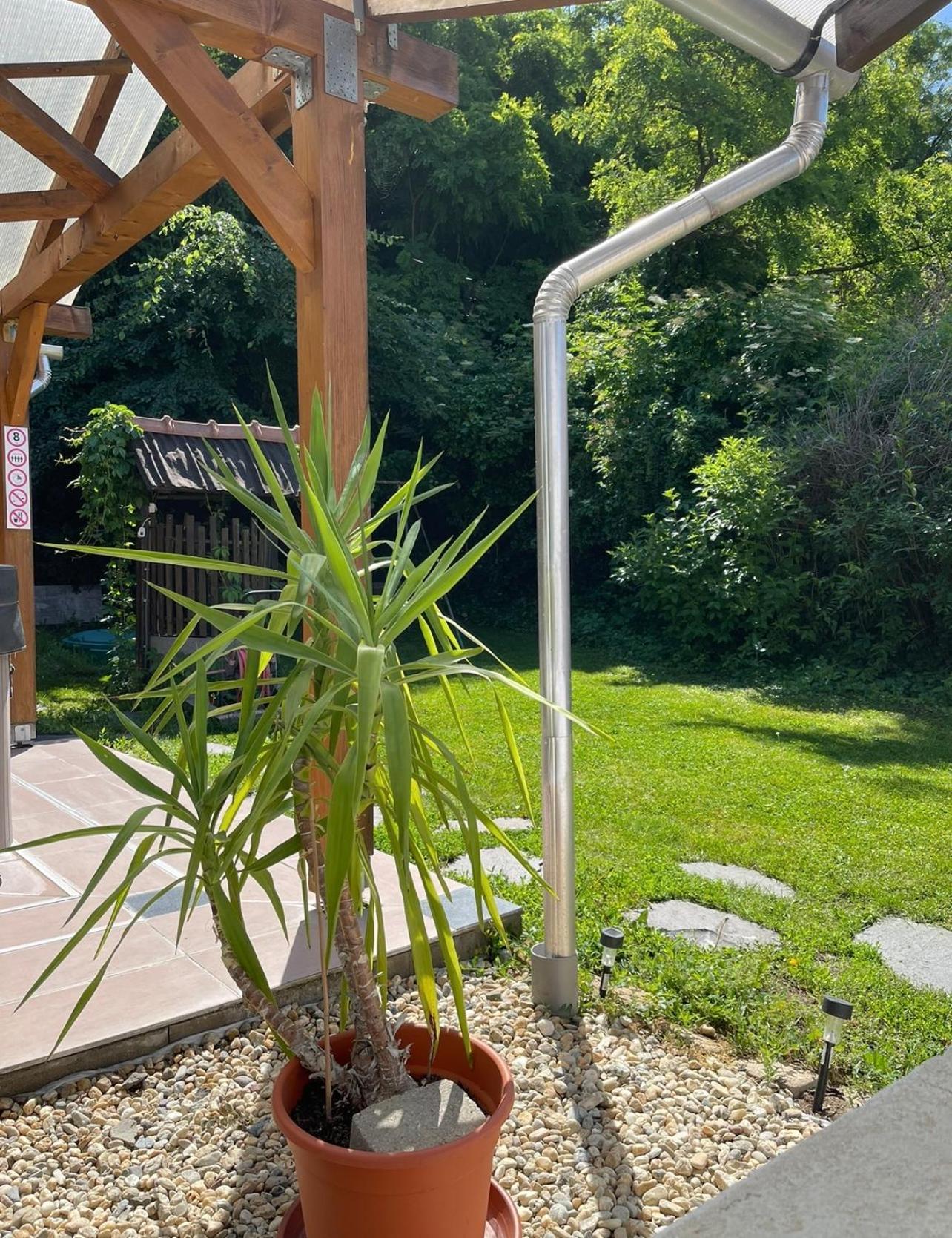 Panni Vendégház Egerszalók Exterior foto
